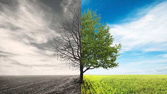 Changes In The Landscape: Trends In Global Merger Control