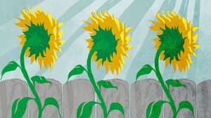 Antitrust: Tracing Inequality – From The United States To South Africa