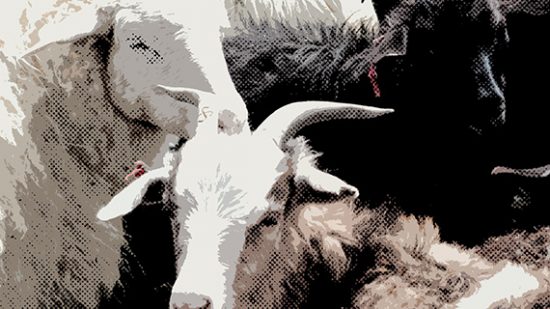 Sorting The Collusive Goats from The Consciously Parallel Sheep