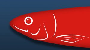 Two-Sided Red Herrings