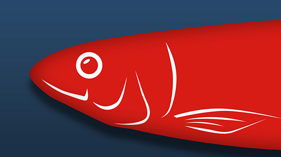Two-Sided Red Herrings