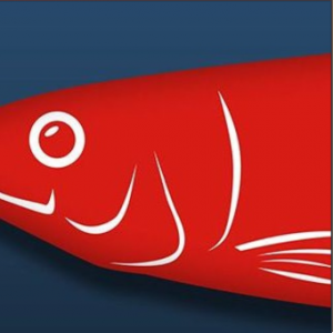 TWO-SIDED RED HERRINGS - AUDIO