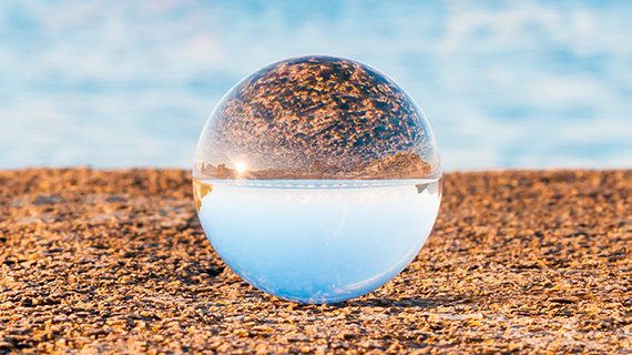Procedural Fairness and Transparency in Competition Proceedings Procedural Fairness and Transparency in Competition Proceedings