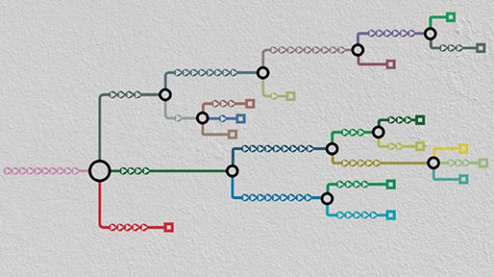 Antitrust and Data Protection: A Tale with Many Endings