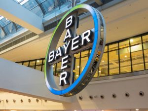 bayer logo image