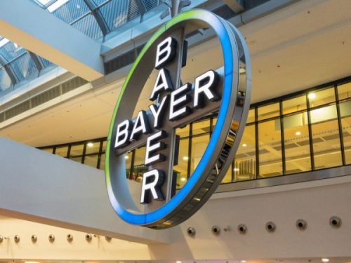 bayer logo image