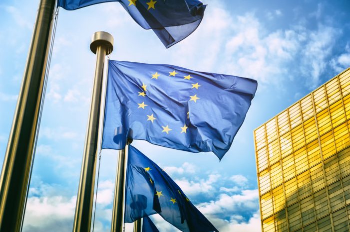 C‑39/18P, Commission v. Icap Management Services: The Rights of Defense in a Dissuasive Fining System C‑39/18P, Commission v. Icap Management Services: The Rights of Defense in a Dissuasive Fining System