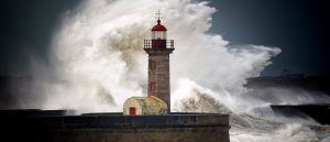 Loyalty Rebates – A Corporate Counsel Guide