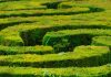 Shortcuts and Courts in the Era of Digitization