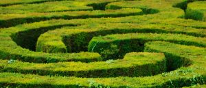 Shortcuts and Courts in the Era of Digitization
