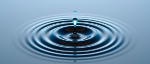 Reflections on Consumer Trust and Competition in the Digitalized Economy