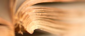 Turn the Page: The Antitrust Division’s New Approach to Incentivizing Antitrust Compliance Programs