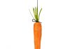 Enhancing the “Carrot”: A Practical Perspective on DOJ Credit For Antitrust Compliance