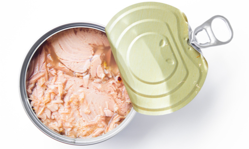Tuna_421739251 Tuna Fish