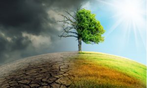 Global Warming