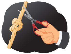 Cut the Knot