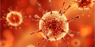 EU Approves €3B of Portuguese State Aid Against Coronavirus