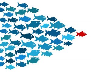 Follow the Leader fishes
