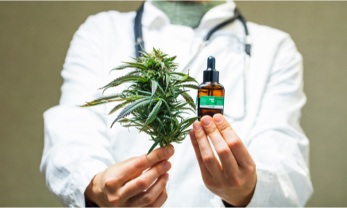Marijuana_1220427025