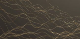 Combating Anti-Competitive Behavior Involving Algorithms: Platform Design and Organizational Process