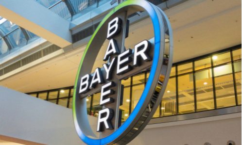 Bayer Bayer