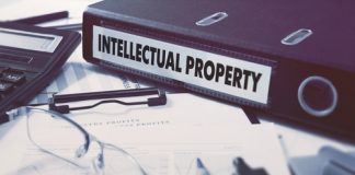 IP/Intellectual Property