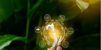 Green Antitrust Sustainability