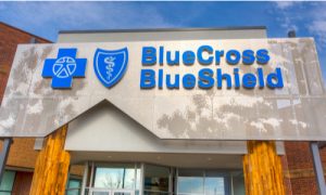 Blue Cross Blue Shield insurers
