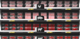 How Biden Can Rein In The Big Meat Monopoly