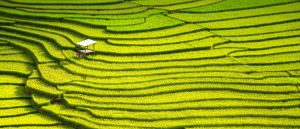Mission Impossible? Promoting Sustainable Development Through China’s Anti-Monopoly Law