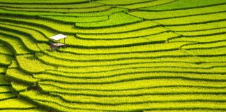 Mission Impossible? Promoting Sustainable Development Through China’s Anti-Monopoly Law