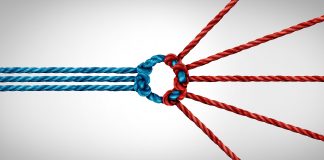 Growing Convergence: The Limited Role of Antitrust in Standard Essential Patent Disputes