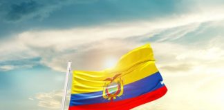 Merger Control Implementation Remedies Ecuador