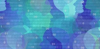 Personal Data as a Price in Market Definition: A Brief Assessment