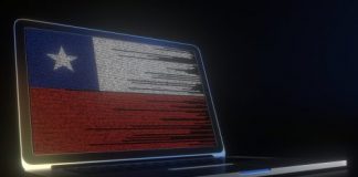 Incipient Digital Markets: Insights from Chilean Case Law