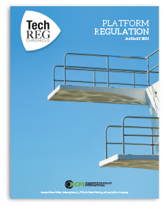TechREG - JANUARY 2022 - Platform Regulation