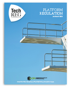 TechREG – JANUARY 2022 – Platform Regulation TechREG - JANUARY 2022 - Platform Regulation
