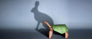Uncertainty and Two Theories of Harm in Nascent Competitor Acquisitions