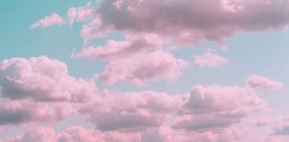 Aesthetics, Technology, And Regulations