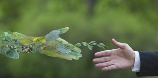 The EU’s Draft Horizontal Guidelines: Chilling Innovation on Sustainability?