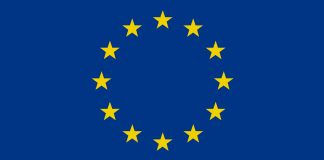 2-CARTEL ENFORCEMENT AND CHALLENGES IN EUROPE - Chris Mayock