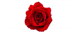 3-“A ROSE BY ANY OTHER UNIQUE IDENTIFIER”: REGULATING CONSUMER DATA TRACKING AND ANONYMISATION CLAIMS By Katharine Kemp