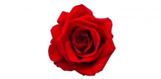 3-“A ROSE BY ANY OTHER UNIQUE IDENTIFIER”: REGULATING CONSUMER DATA TRACKING AND ANONYMISATION CLAIMS By Katharine Kemp