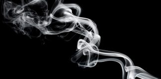 Antitrust Chronicle - Cartels: Recent Developments