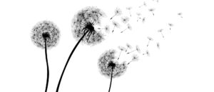 1-The Interoperability Hope by Joshua Gans