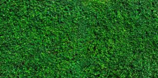 4-Tearing Down Walled Gardens: Encouraging Adversarial Interoperability to Promote Competition by Luke Hogg