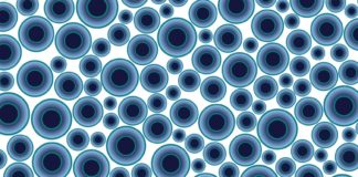Algorithmic Search and Recommender Systems in the Digital Services Act