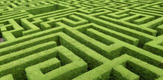 The Digital Markets Act: Challenges And Opportunities For Business By Esther Kelly & Fiona Garside