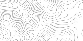 1-DRAWING LINES AROUND DARK PATTERNS By Maneesha Mithal & Stacy Okoro