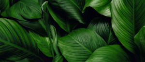 TechREG CHRONICLE - June 2023 - ESG